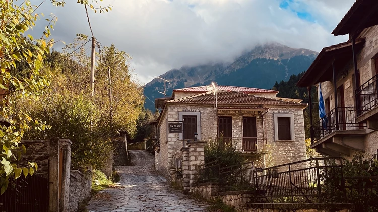 ΕΟΡΤΑΣΤΙΚΟ ΚΑΡΠΕΝΗΣΙ 3,4ημ ΧΡΙΣΤΟΥΓΕΝΝΑ -ΠΡΩΤΟΧΡΟΝΙΑ (P18)